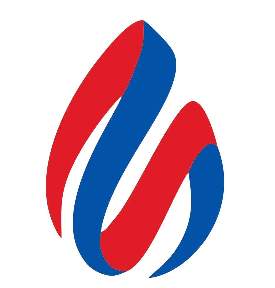 Lubricantes Geminis Logo